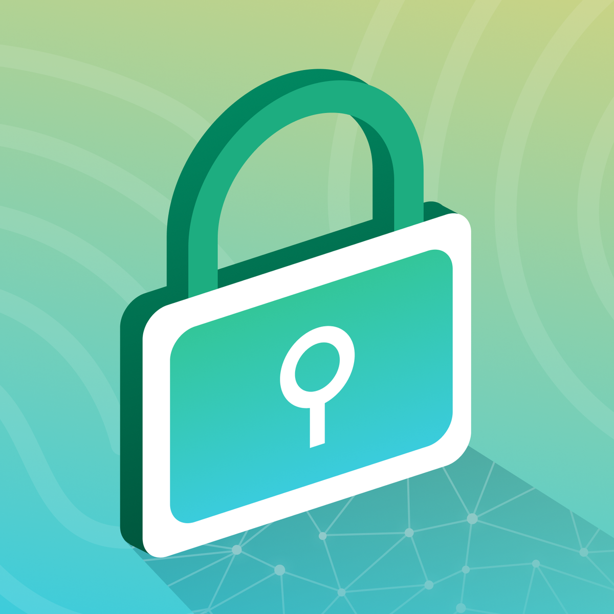 Embracing Privacy-Conscious Customer Engagement in a Fast-Moving World