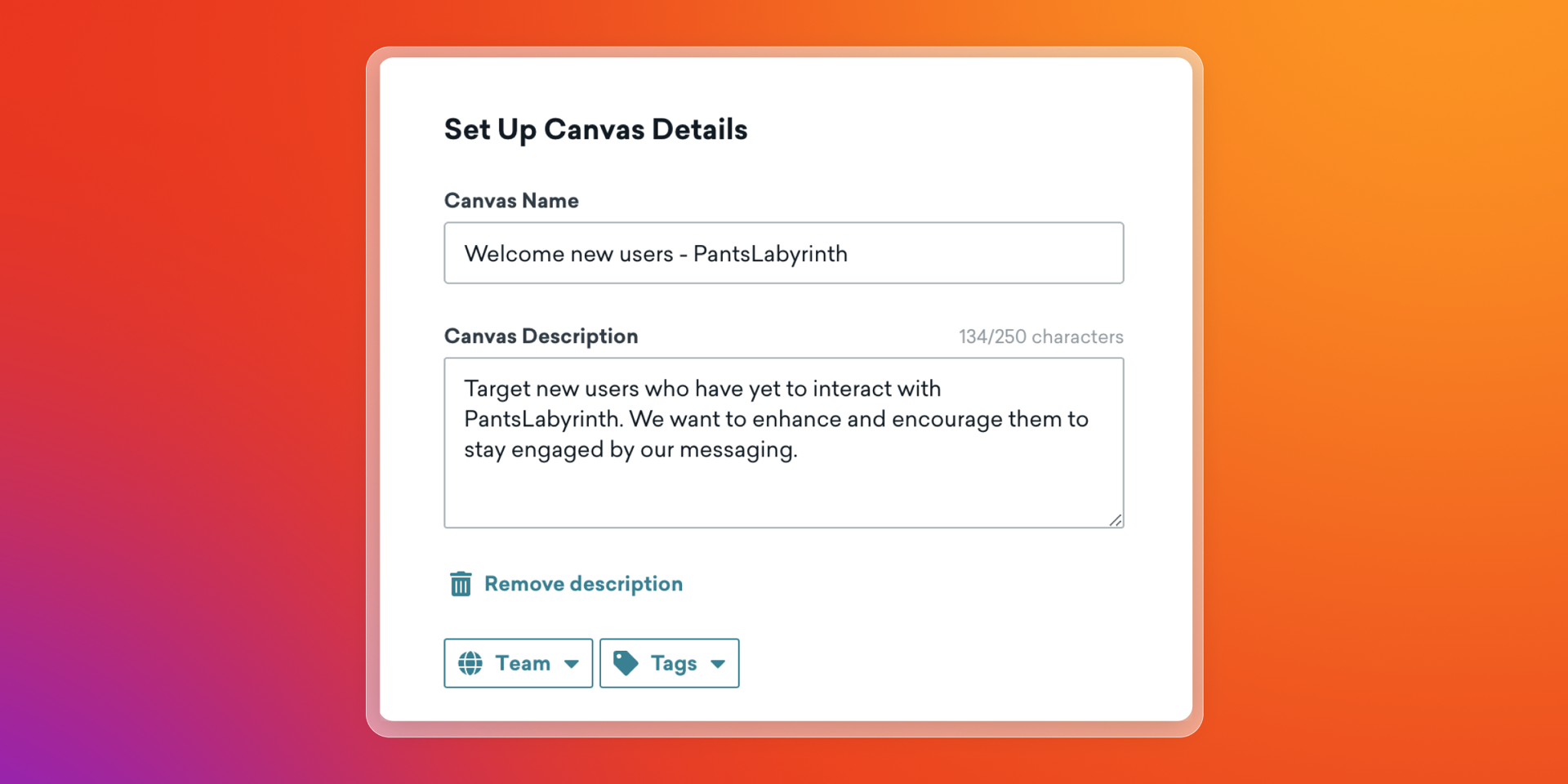 A form titled "Set Up Canvas Details" with "Welcome new users - PantsLabyrinth" in the name field and a description for targeting new users.